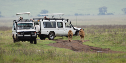 8-Day Great Migration Tour