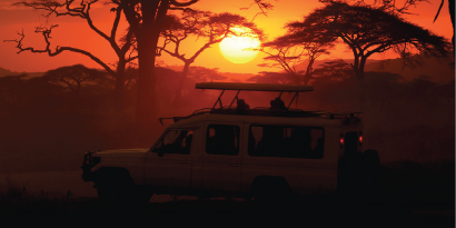 4-Day Luxury Safari fly Inn & Out From Zanzibar