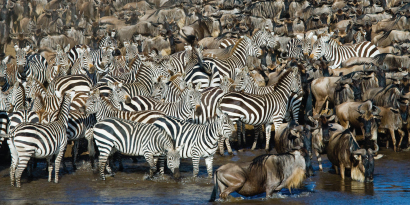 Moria Safari