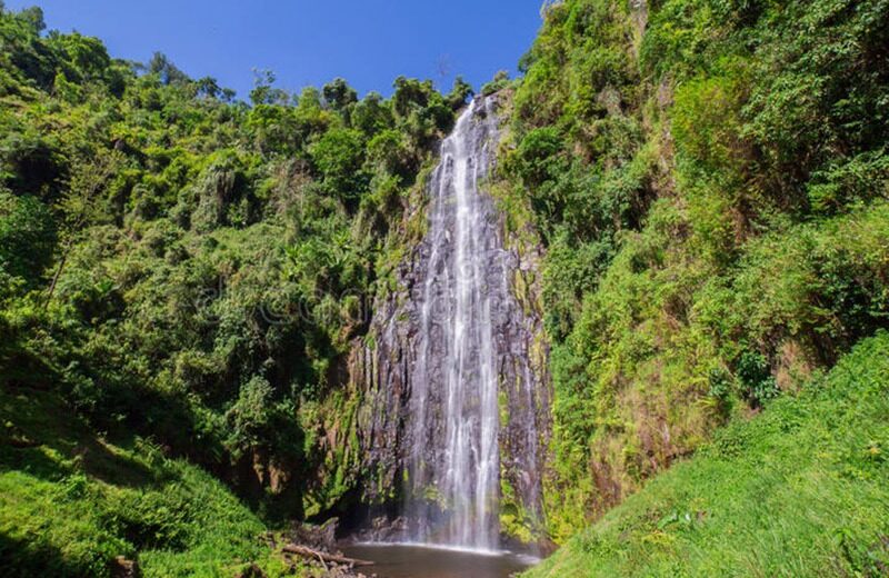 1-Day Materuni Water Falls, Hiking and Coffee Making