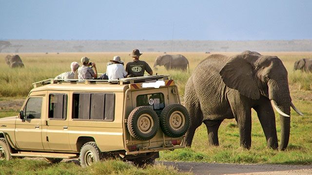 What to expect on a safari in Tanzania?